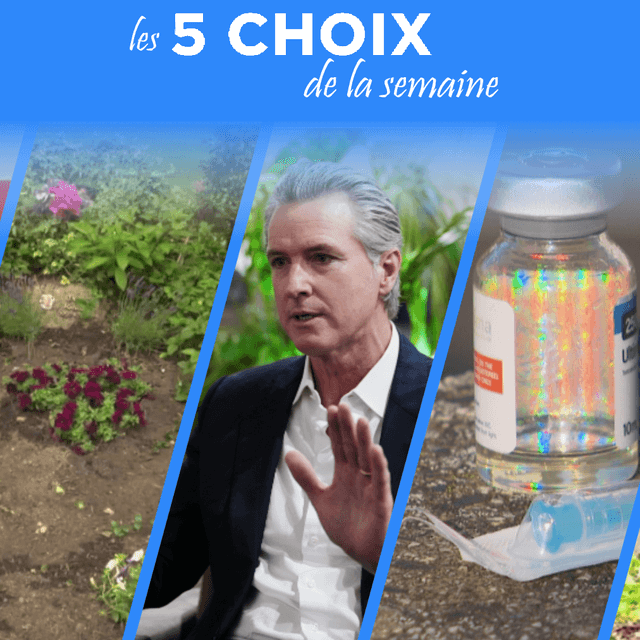 Newsom défie Trump : enjeux démocratiques américains