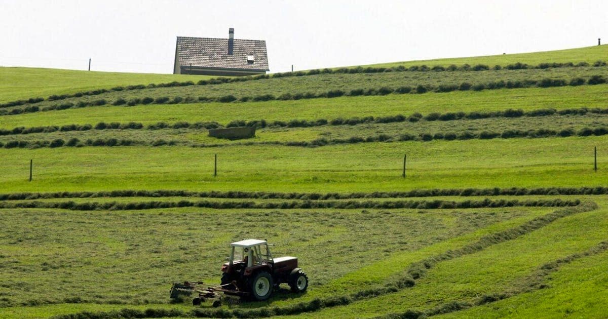Pesticides : le National privilégie l'efficacité économique
