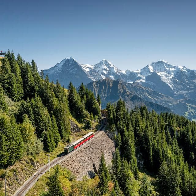Violence verbale dans les transports publics suisses