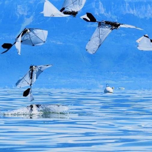 Un robot de l'EPFL imite les oiseaux plongeurs pour révolutionner l'exploration sous-marine