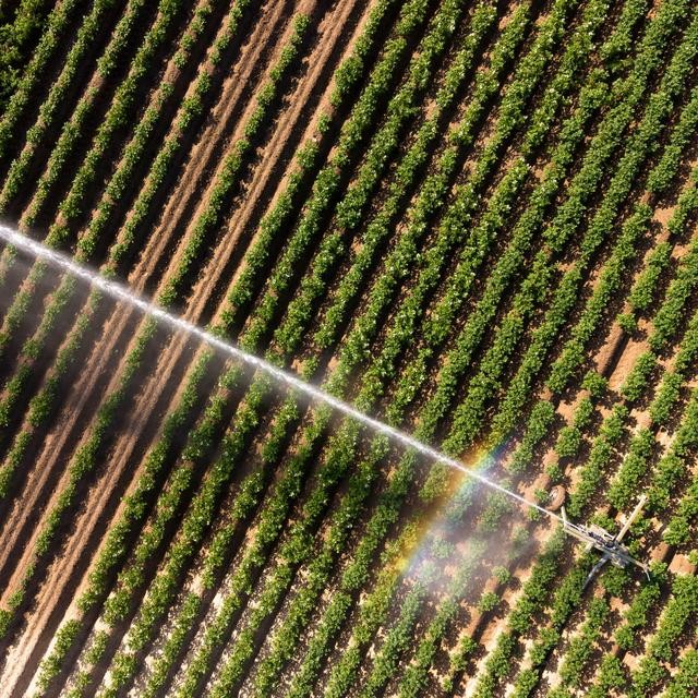 Sécheresse et chaleur: l’agriculture suisse sous pression
