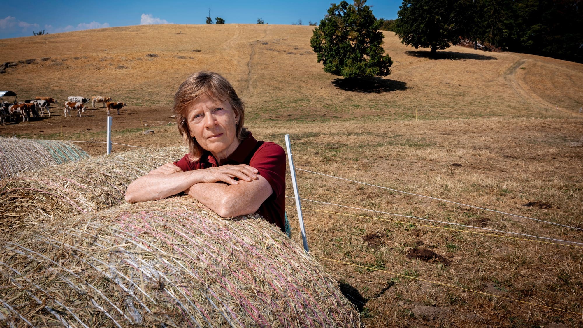Martine Rebetez: «La Suisse doit cesser d'écouter l'argent du pétrole»